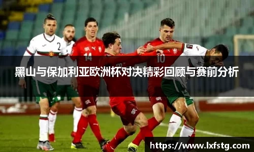 黑山与保加利亚欧洲杯对决精彩回顾与赛前分析