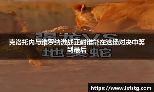 克洛托内与维罗纳激战正酣谁能在这场对决中笑到最后